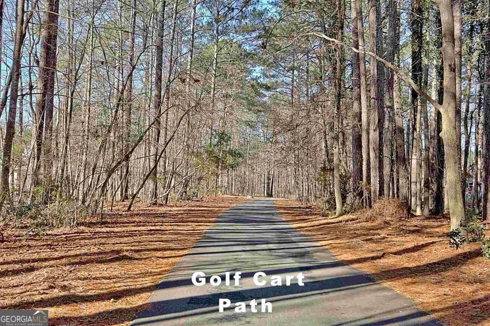 119 Terrace Tay Peachtree City, GA 30269
