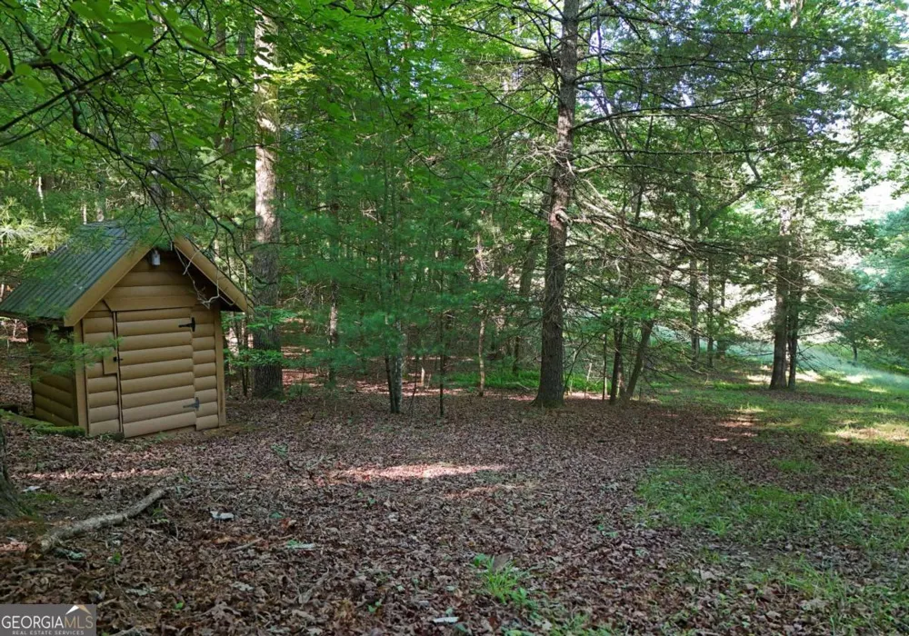 175 Bell RD Mineral Bluff, GA 30559