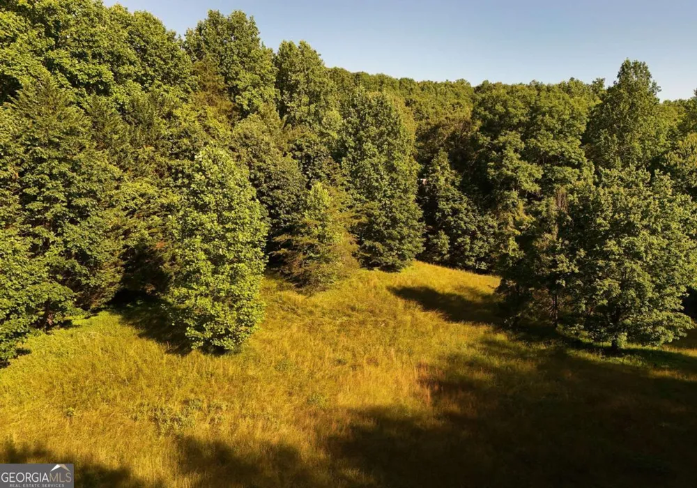 175 Bell RD Mineral Bluff, GA 30559