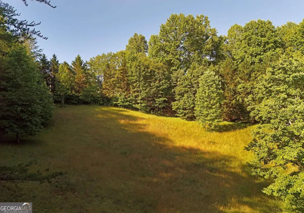 175 Bell RD Mineral Bluff, GA 30559