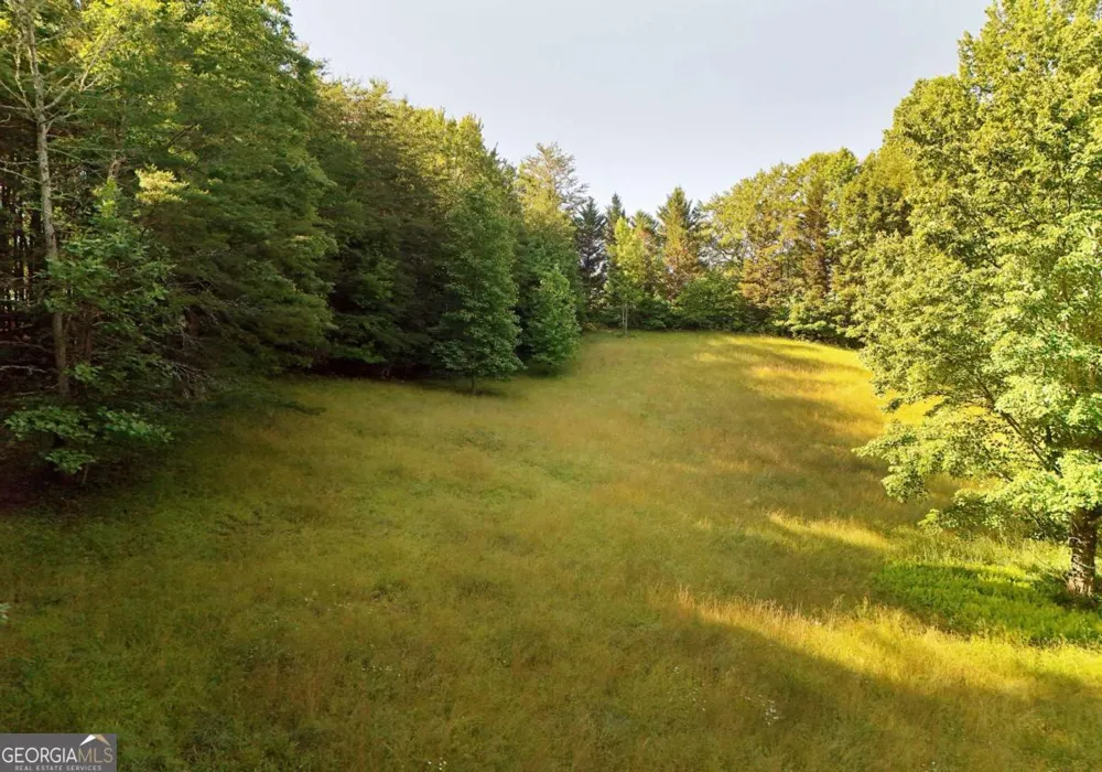 175 Bell RD Mineral Bluff, GA 30559
