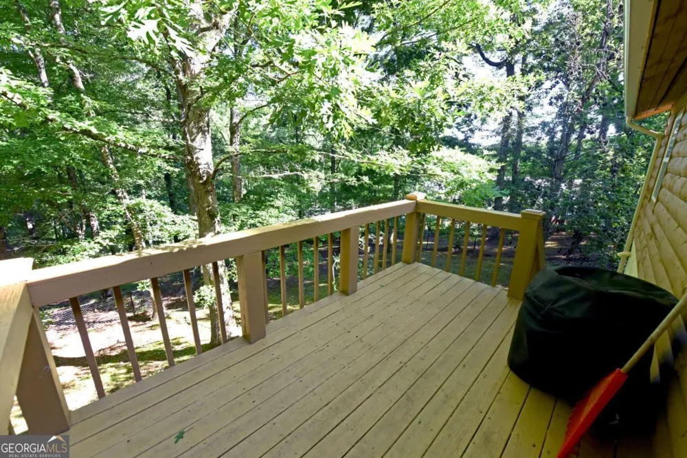 175 Bell RD Mineral Bluff, GA 30559