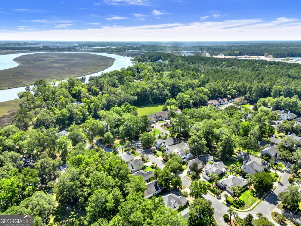 50 Gale Break CIR Richmond Hill, GA 31324
