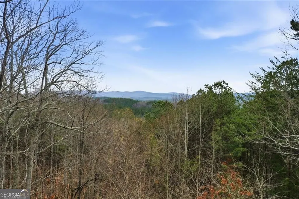 980 Cowart Mountain TRL Waleska, GA 30183