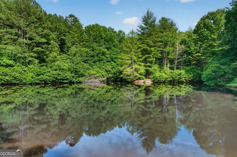 24 Twin Lakes RD Blue Ridge, GA 30513