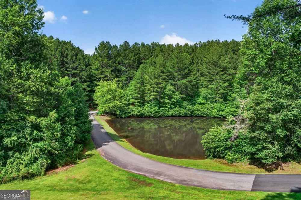 24 Twin Lakes RD Blue Ridge, GA 30513