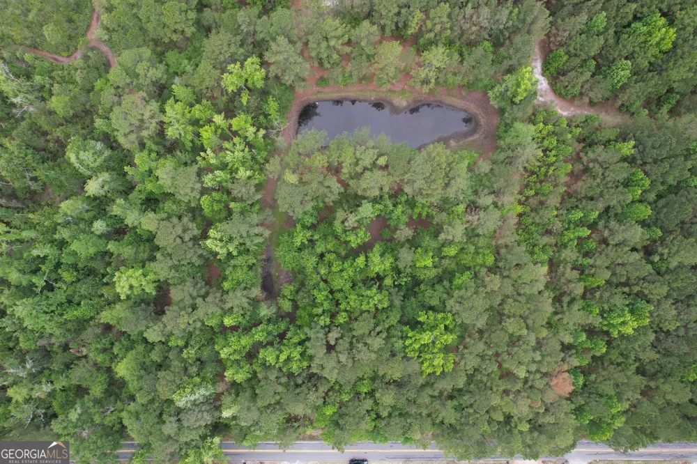 1.5 ACRES Mt Pleasant RD Clyo, GA 31303