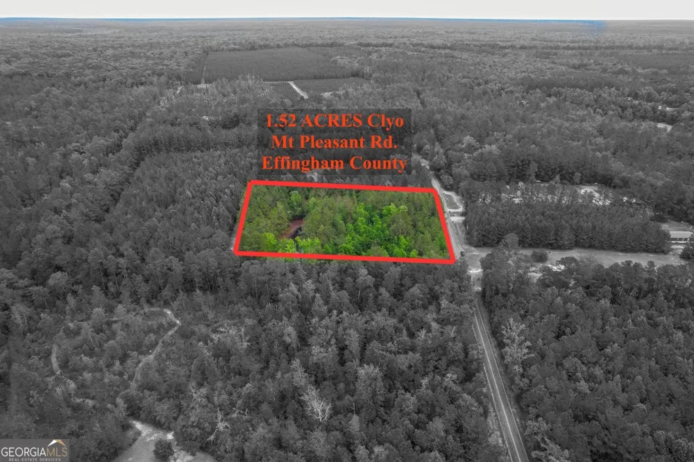 1.5 ACRES Mt Pleasant RD Clyo, GA 31303