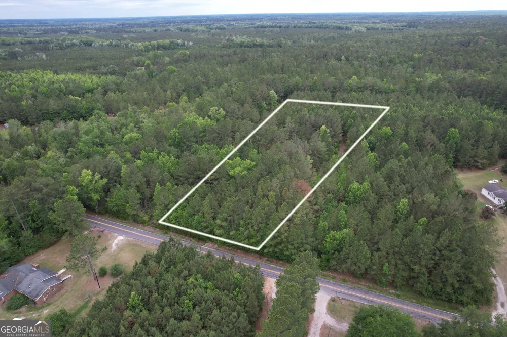 1.5 ACRES Mt Pleasant RD Clyo, GA 31303