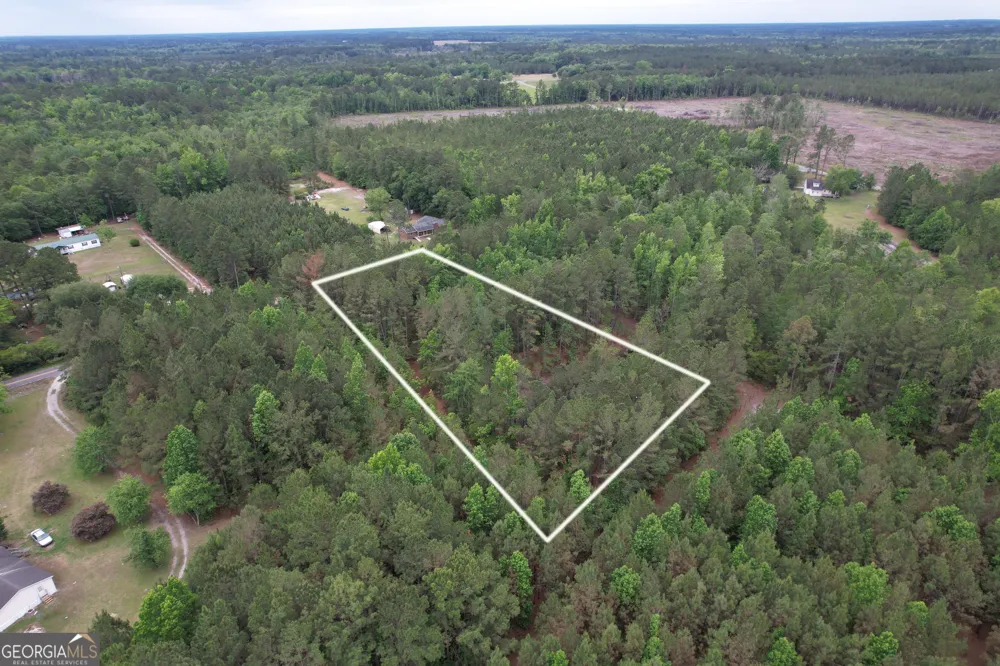 1.5 ACRES Mt Pleasant RD Clyo, GA 31303
