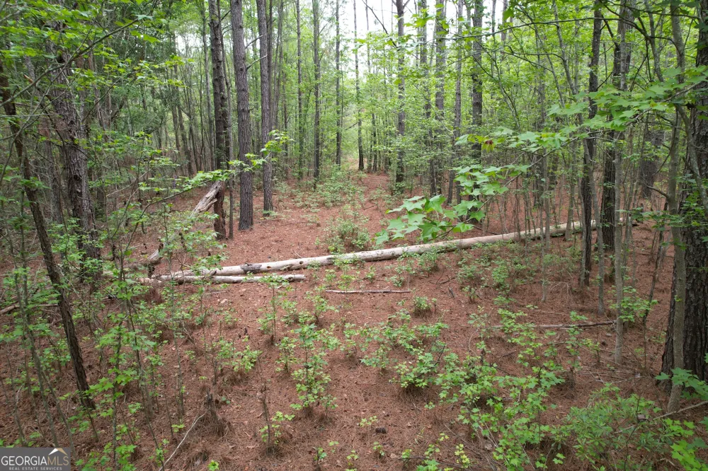1.5 ACRES Mt Pleasant RD Clyo, GA 31303