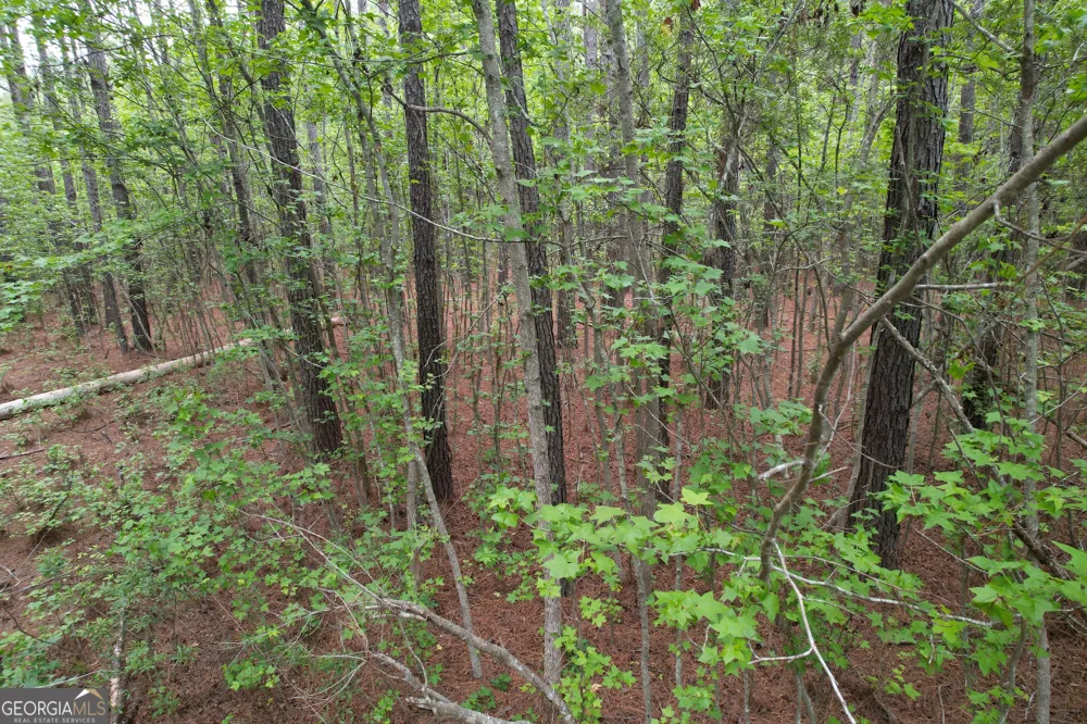 1.5 ACRES Mt Pleasant RD Clyo, GA 31303