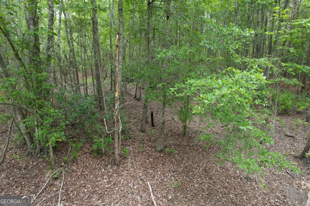 1.5 ACRES Mt Pleasant RD Clyo, GA 31303