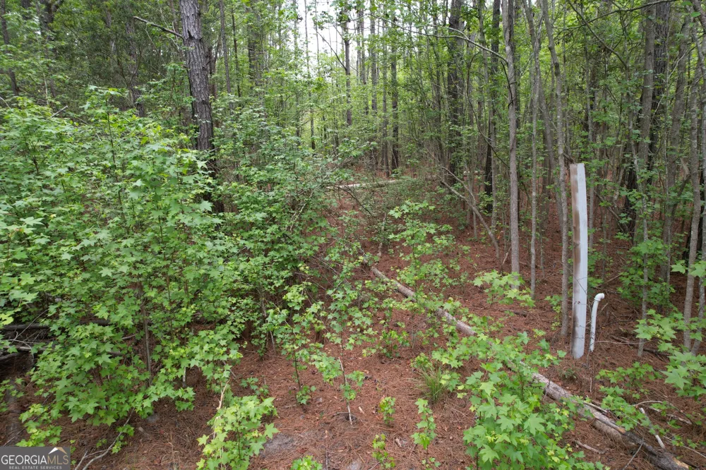 1.5 ACRES Mt Pleasant RD Clyo, GA 31303