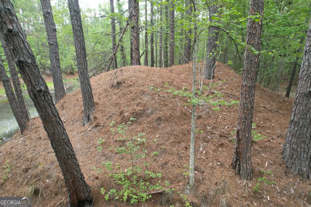 1.5 ACRES Mt Pleasant RD Clyo, GA 31303