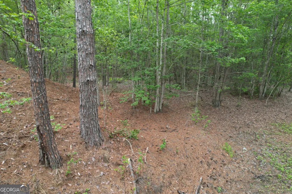 1.5 ACRES Mt Pleasant RD Clyo, GA 31303