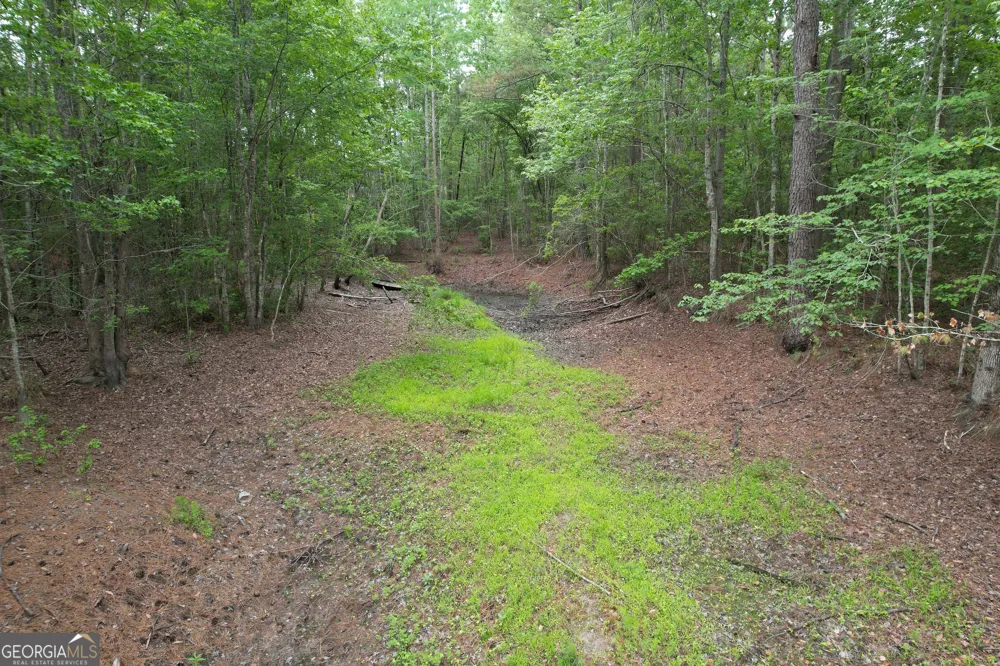 1.5 ACRES Mt Pleasant RD Clyo, GA 31303