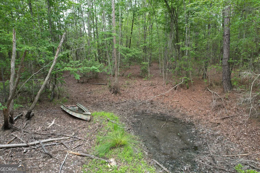 1.5 ACRES Mt Pleasant RD Clyo, GA 31303
