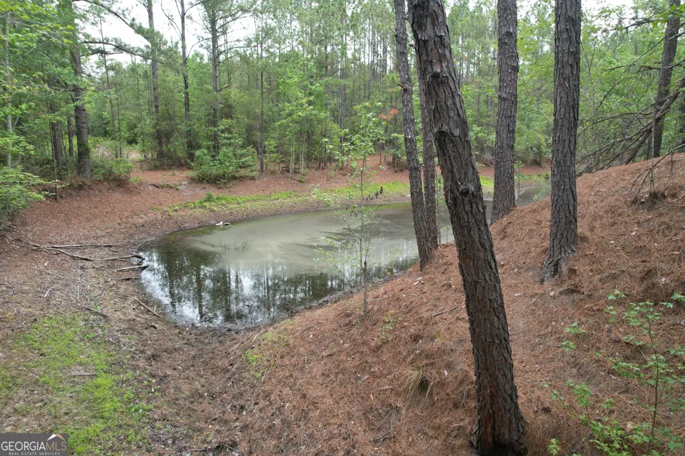 1.5 ACRES Mt Pleasant RD Clyo, GA 31303
