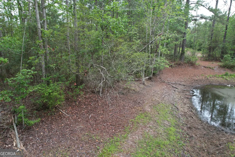 1.5 ACRES Mt Pleasant RD Clyo, GA 31303