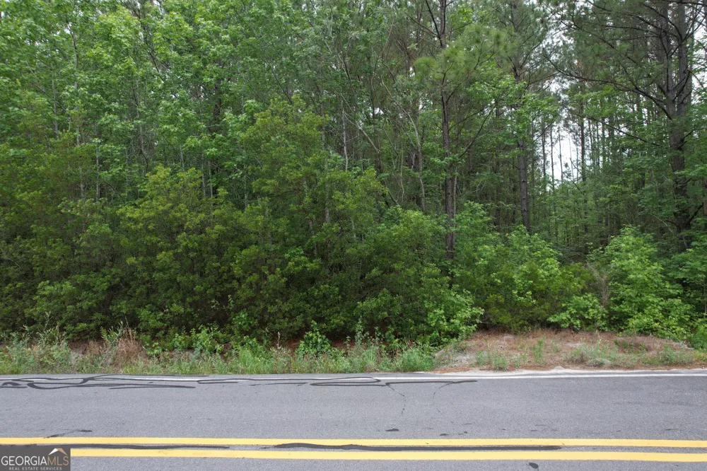 1.5 ACRES Mt Pleasant RD Clyo, GA 31303