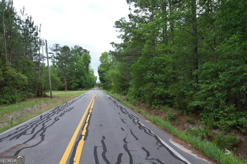 1.5 ACRES Mt Pleasant RD Clyo, GA 31303