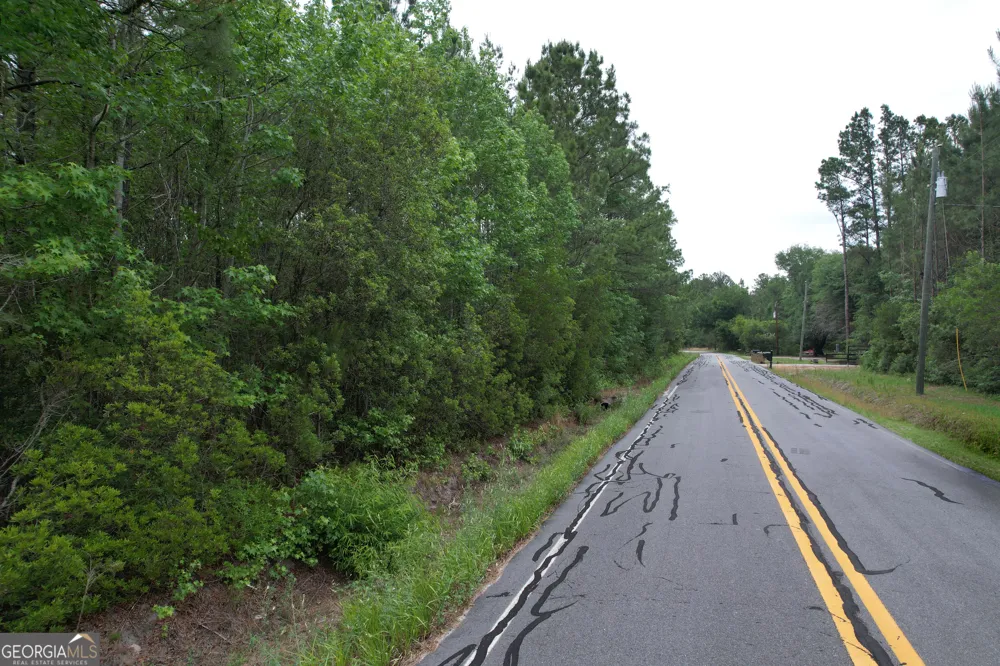 1.5 ACRES Mt Pleasant RD Clyo, GA 31303