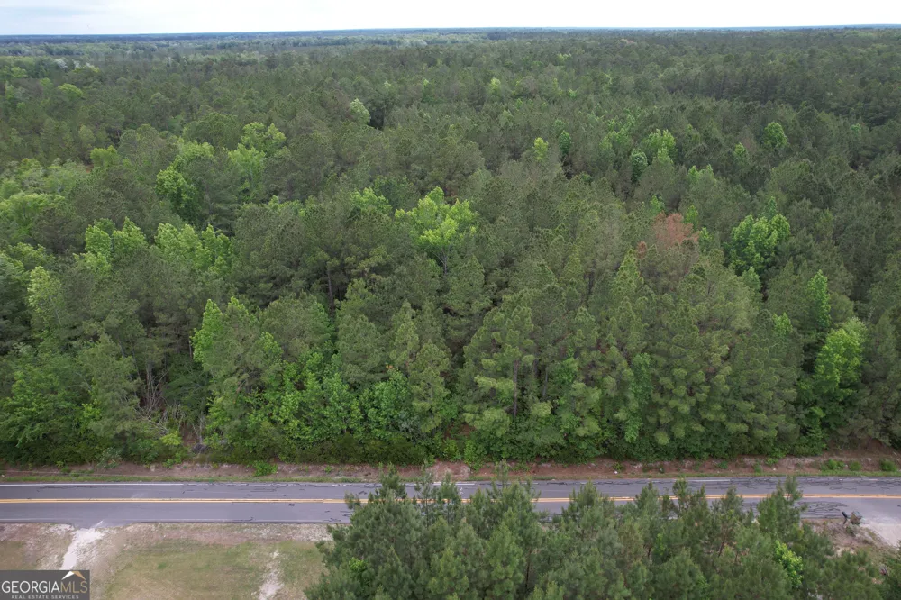 1.5 ACRES Mt Pleasant RD Clyo, GA 31303