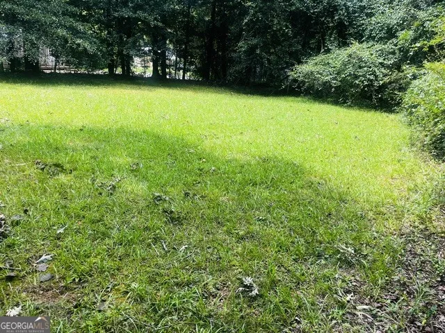 173 Pear Valley DR Clarkesville, GA 30523