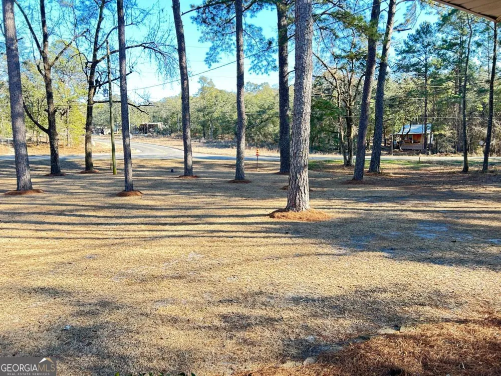 1564 Joy Bluff RD Reidsville, GA 30453