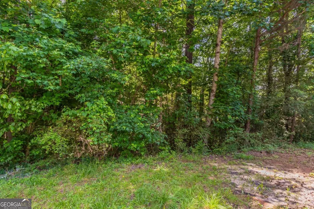 1404 Lancaster CT McDonough, GA 30252