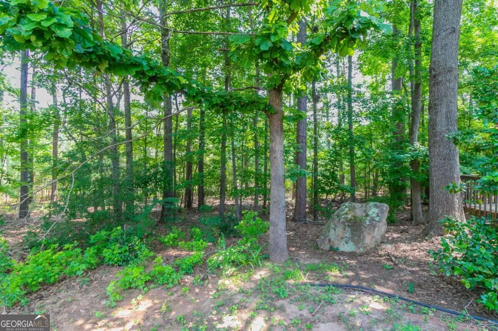 12015 Harbour Town PKWY Fayetteville, GA 30215