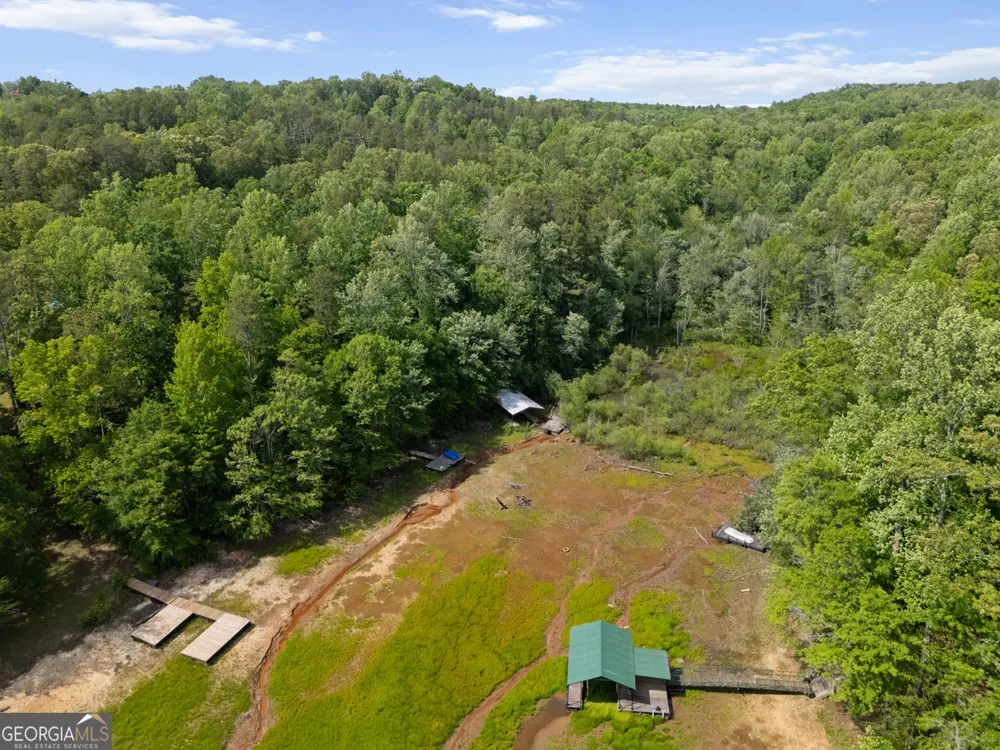 647 Lake Harbor TRL Martin, GA 30557