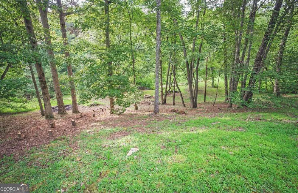 367 Sunrise Valley RD Blue Ridge, GA 30513