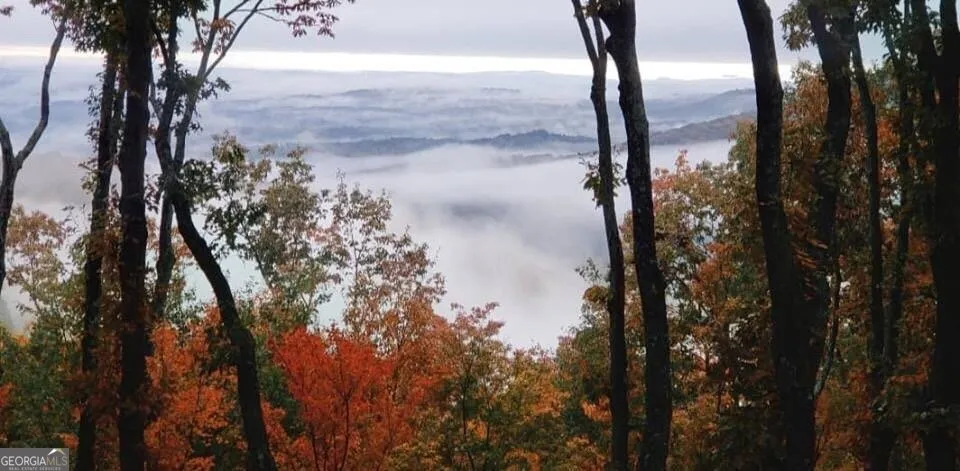 0 Shadowick Mountain RD Jasper, GA 30143