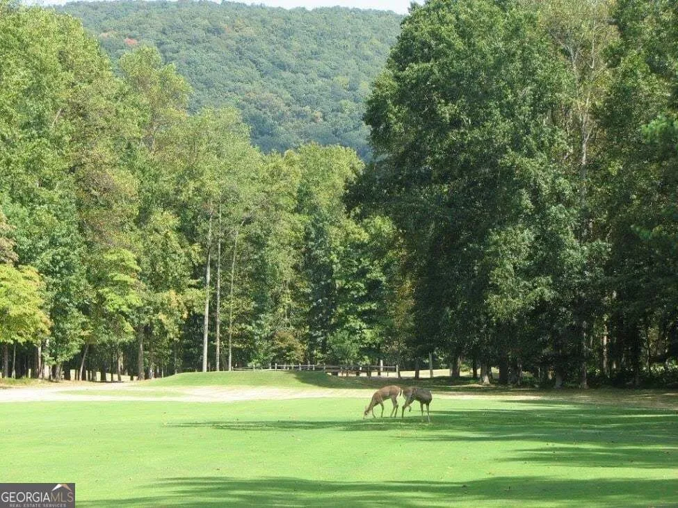 0 Shadowick Mountain RD Jasper, GA 30143