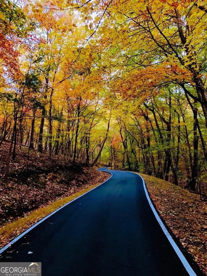 0 Shadowick Mountain RD Jasper, GA 30143