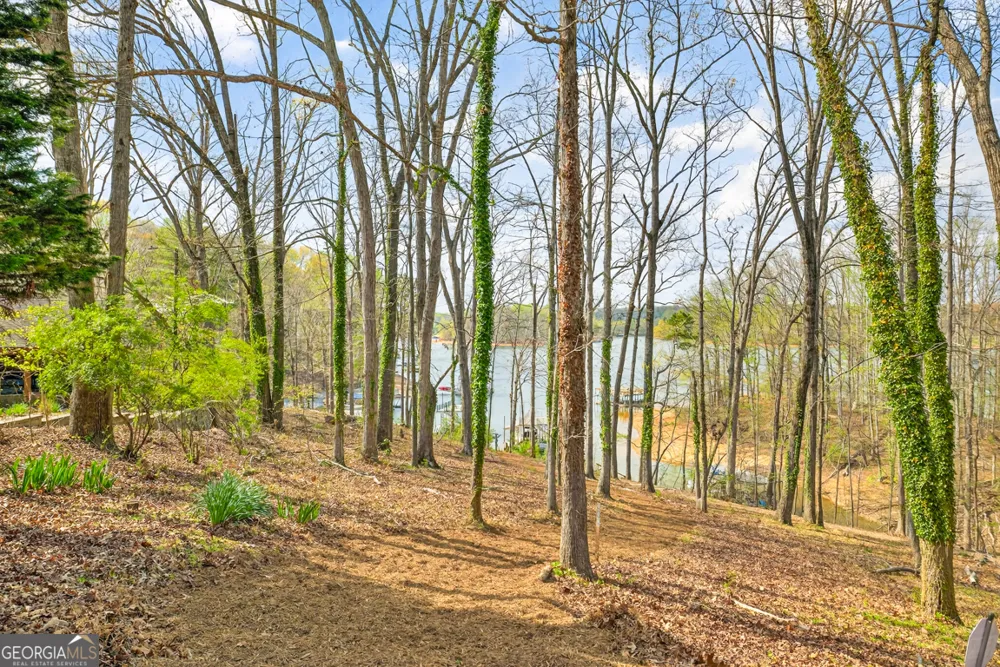 2686 Tammi LN Gainesville, GA 30506