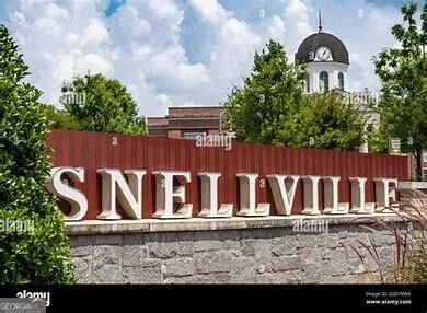 3799 Ivy Cottage DR Snellville, GA 30039