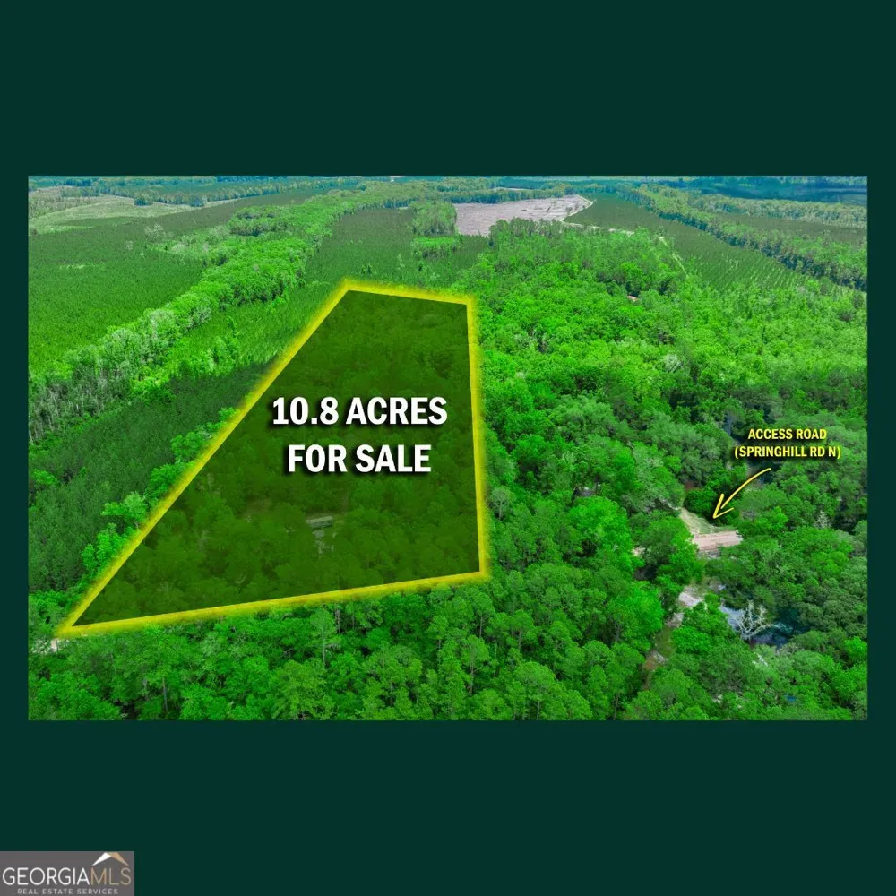 5435 Springhill RD N Folkston, GA 31537
