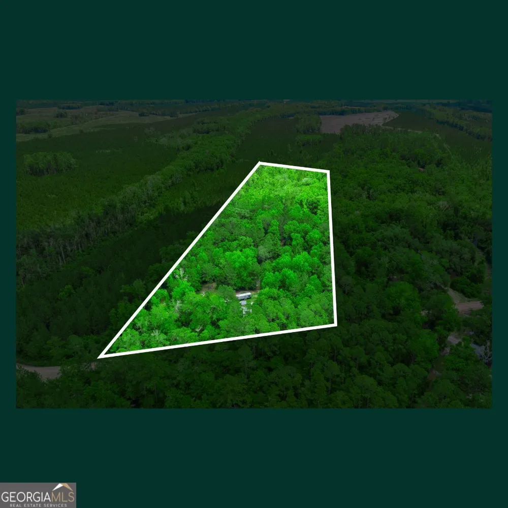5435 Springhill RD N Folkston, GA 31537