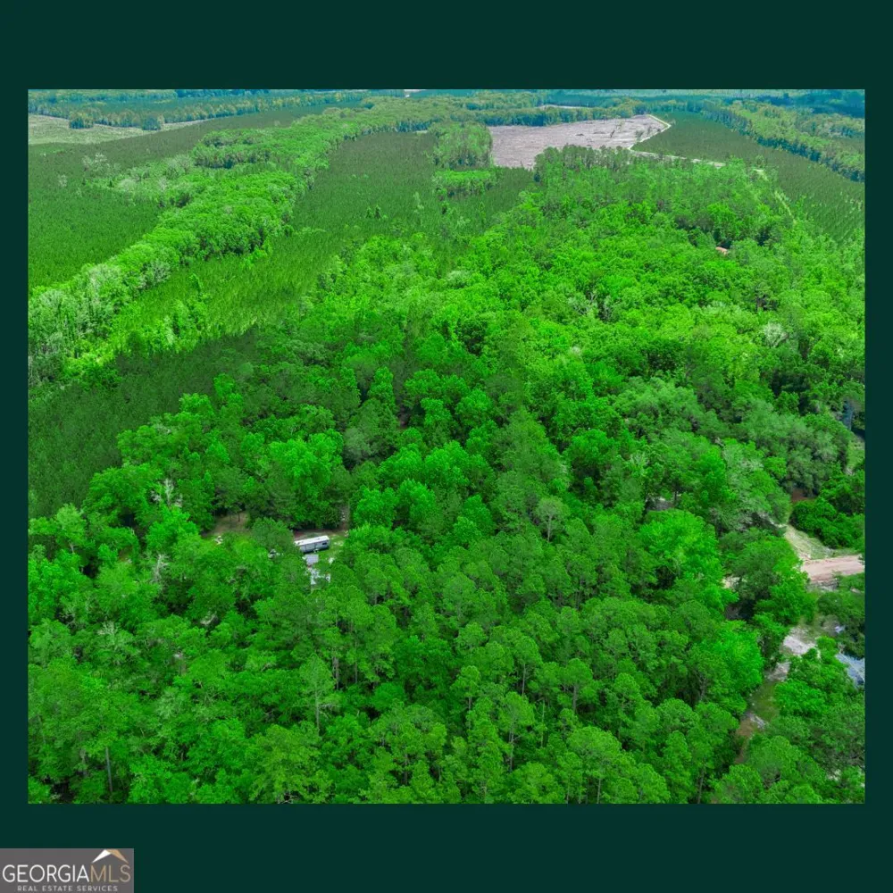 5435 Springhill RD N Folkston, GA 31537