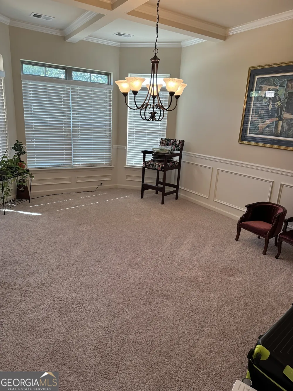 860 Nevis WAY McDonough, GA 30253