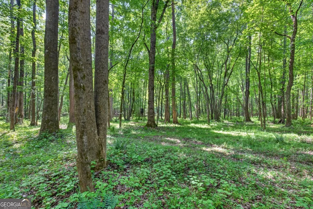 1260 Perryman RD Buckhead, GA 30625