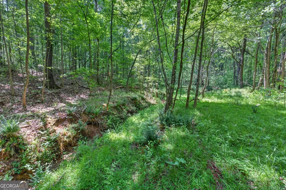 1260 Perryman RD Buckhead, GA 30625