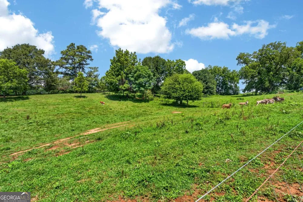 14155 HWY 106 Carnesville, GA 30521