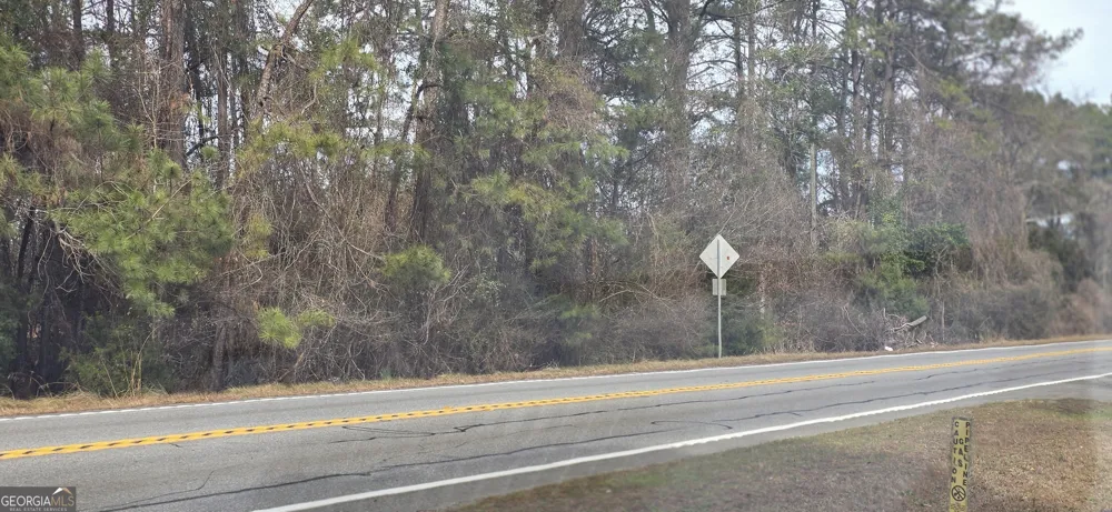 0 Highway 247 Kathleen, GA 31047