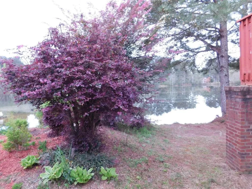 2335 Jennas WAY Conyers, GA 30013