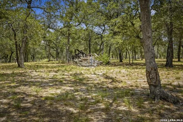156 Deep Woods Dr Seguin, TX 78155