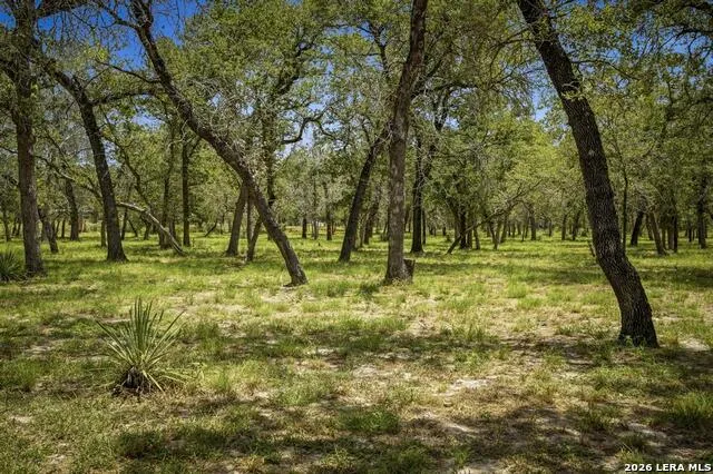 156 Deep Woods Dr Seguin, TX 78155